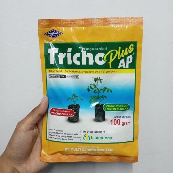 Gambar Fungisida Alami Tricho Plus AP 100 gram Cap Kapal Terbang Trichoderma dari Bibit Bunga undefined Tokopedia