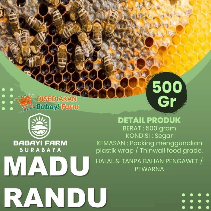 Gambar Madu Randu Hutan Alami Kemasan per botol 500 gr / 1 kg - 500 gram dari Babay Farm Surabaya undefined Tokopedia