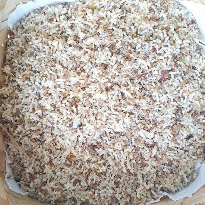 Gambar Kroto Super Pakan Burung 100 gr - 30 gr dari NazilaPetStore undefined Tokopedia