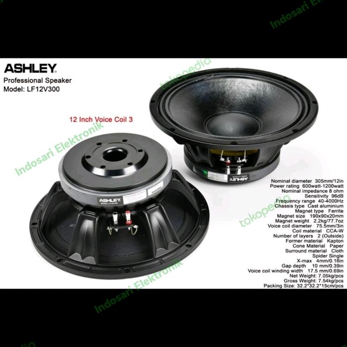 Gambar speaker ashley 12 inch lf 12v300 dari indosari electronic undefined Tokopedia