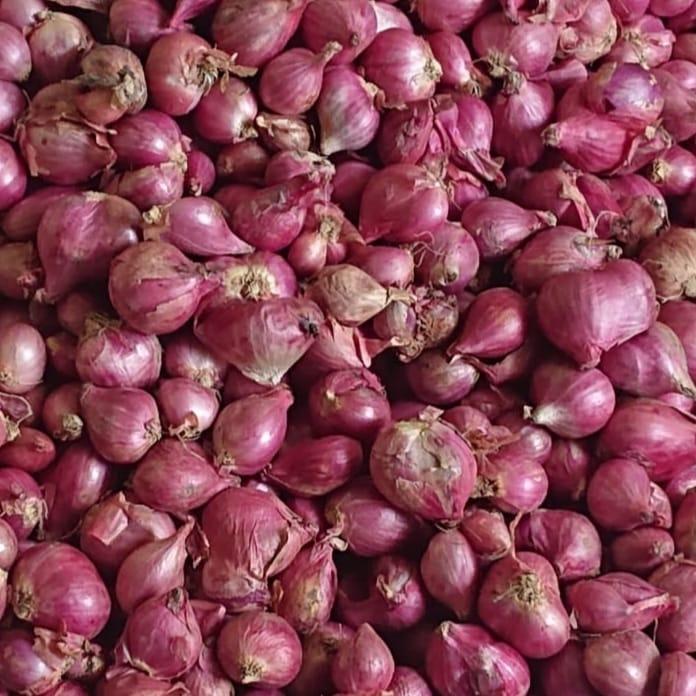 Gambar Bawang Merah 1 Kg Brambang - CAMPUR, 500 gram dari Sempoerna Abadi undefined Tokopedia