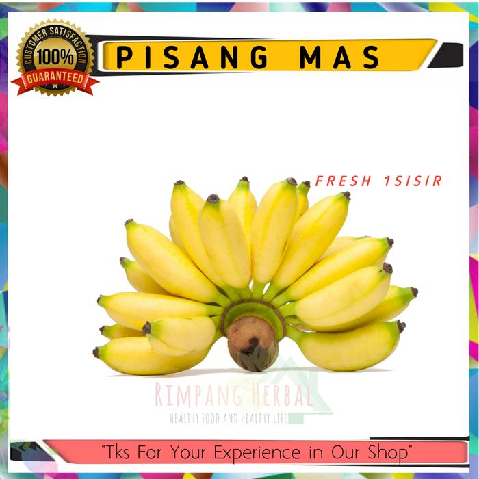 Gambar pisang raja / pisang ambon /pisang cavendish / pisang mas / pisang uli - Mas dari Arief Rustanto undefined Tokopedia