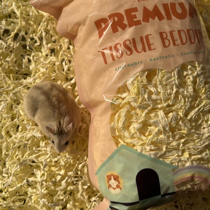 Gambar Premium Tissue Bedding / Tissue Bedding Hamster - Yellow Jasmine dari Hamppiness undefined Tokopedia