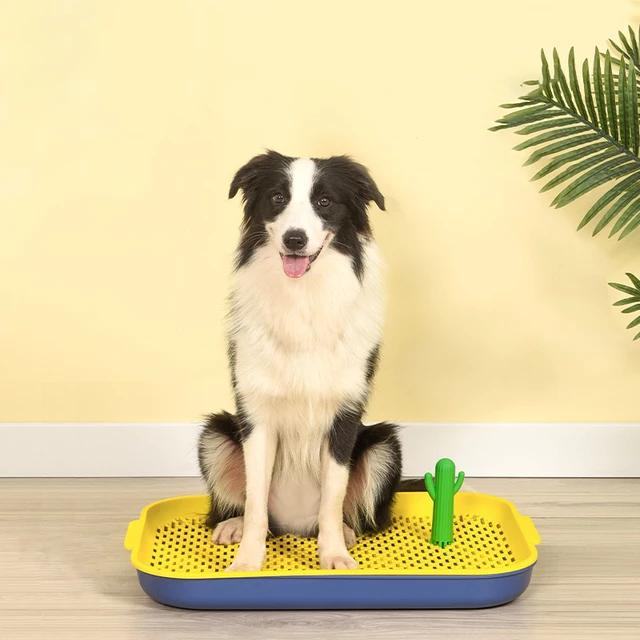 Gambar Pakeway Oasis Training pet toilet pee tray Alas pipis anjing 45x60cm - Kuning dari Pawty Bar undefined Tokopedia