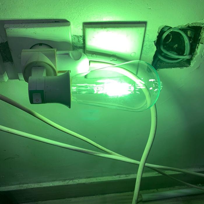 Gambar Lampu Led Filamen / Filament Led Bulb 4W / 4 W / 4 Watt Edison E27 - Hijau dari Sinar Surya LTC undefined Tokopedia