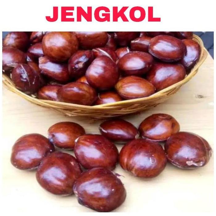 Gambar 500 gr kabau jolang jaling petai jengkol pete Jaminan Kabau Tua - jengkol tua dari Gift of Bles undefined Tokopedia