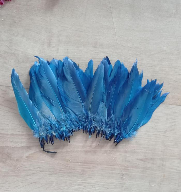 Gambar Bulu Ayam Bahan Dekorasi Scrapbook Per Pack - BL4 (Blue) dari PreservedRosesID undefined Tokopedia