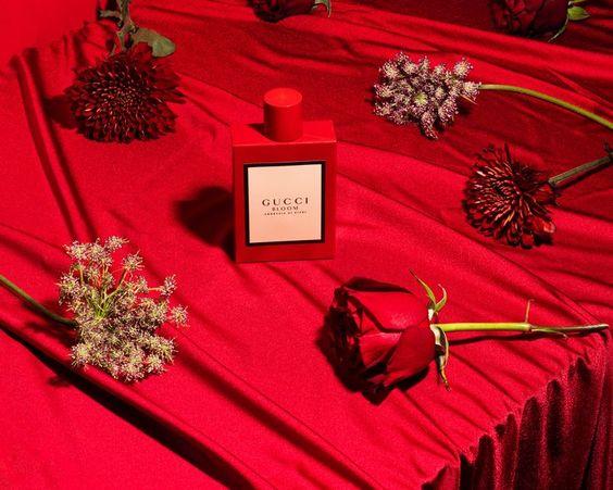 Gambar Kain polos Merah backdrop background foto Studio aesthetic 3mx2.40m - 3m x 2.4m dari instorebdg undefined Tokopedia