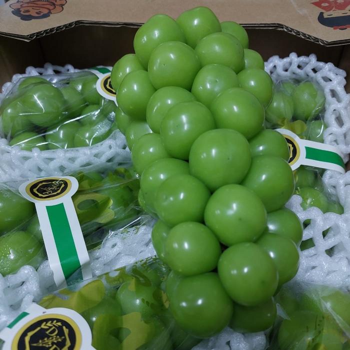Gambar buah anggur hijau Muscat manis size jumbo - /ds 8pc X 500gr dari Toko buah Riansyah undefined Tokopedia