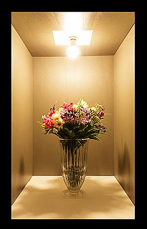 Gambar LAMPU LED BULB E27 7W PUTIH KUNING - Kuning dari Cantika Cahaya undefined Tokopedia