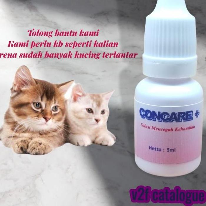 Gambar Zev64 Kb Kucing Anjing Concare - Pencegah Kehamilan Banget Murah dari Arjuna wiwaha01 undefined Tokopedia