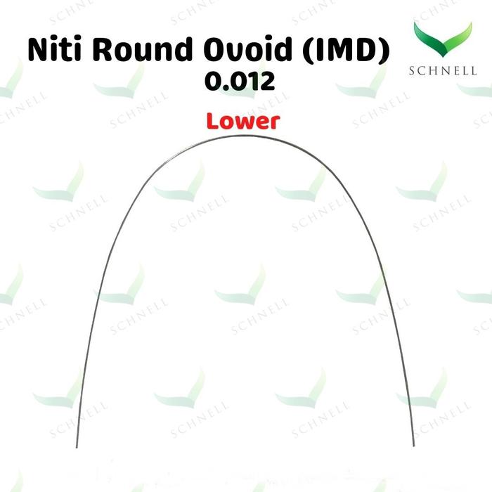 Gambar Kawat Niti behel Round Ovoid isi 10pcs merk IMD - 0.12 Upper dari Sicher Dental undefined 4 Tokopedia