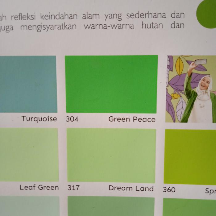 Gambar Cat Paragon 5 kg cat tembok 5kg cat dinding banyak warna - 304 Green Peace dari adolmura undefined Tokopedia