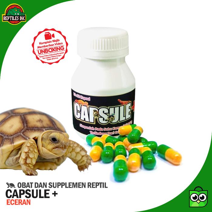 Gambar Capsule plus Obat Reptil / Torto Kura Kura Flu / Pilek ECERAN dari ReptilesInc undefined Tokopedia
