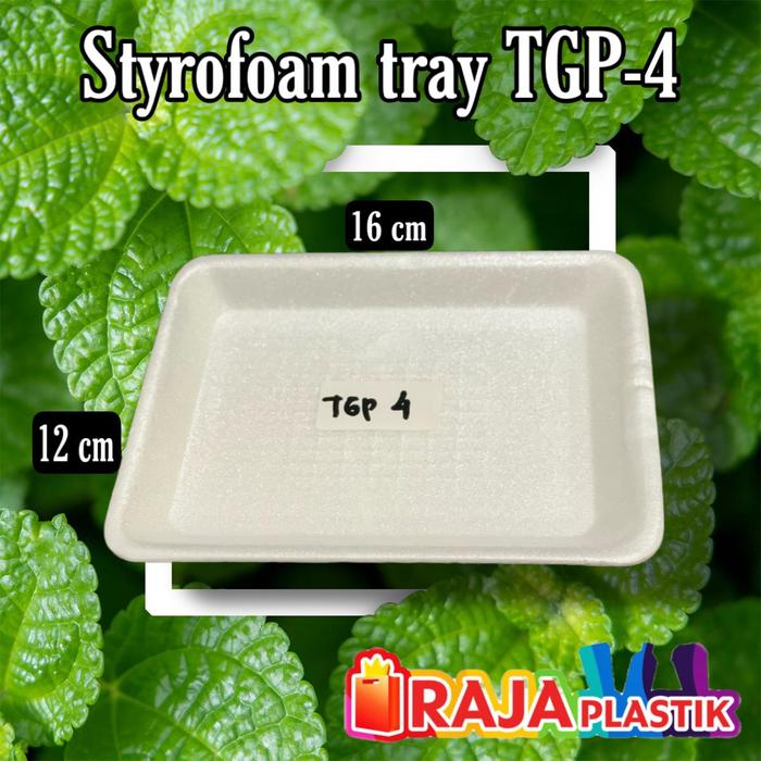 Gambar Gabus Piring Buah, Sayur / Gabus Tray Buah, Sayur /styrofoam tray buah - TGP 4 (16x12cm) dari rajaplastikmakassar undefined Tokopedia