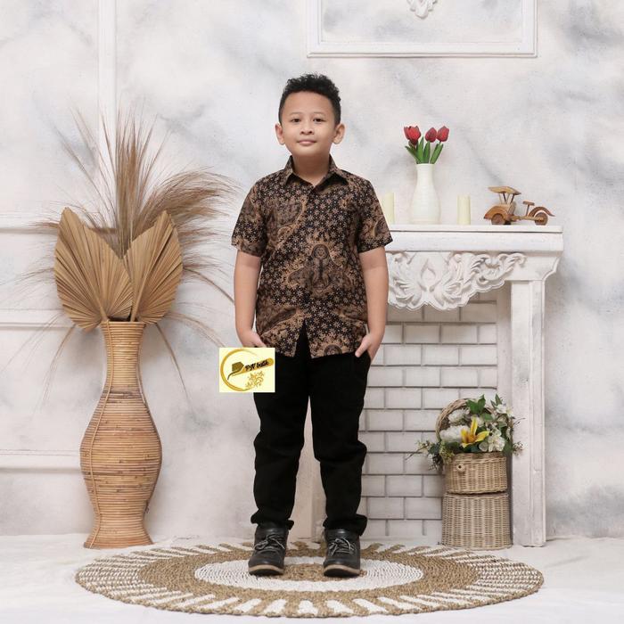 Gambar KEMEJA BATIK ANAK LENGAN PENDEK BAJU BATIK PRIA MOTIF MODERN - MOTIF 6, L dari Batik Gong undefined Tokopedia