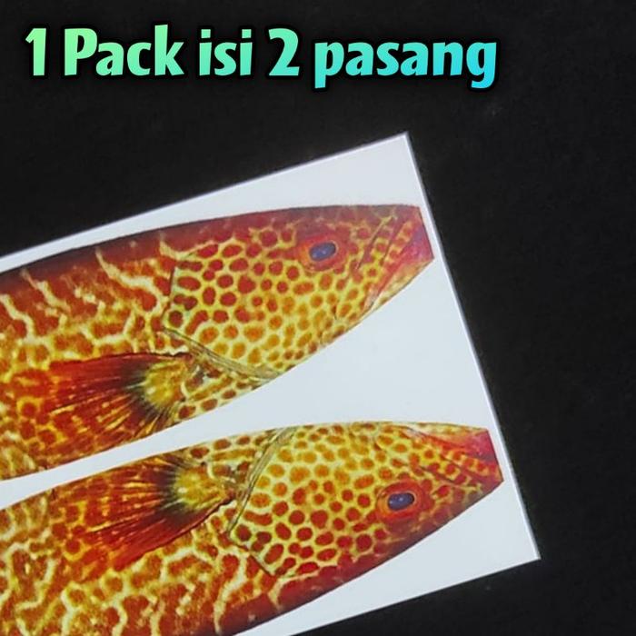 Gambar Water Slide Decal Skin Umpan Metal Jig Lure - Grouper, 7 gram dari Timor Gear ID undefined Tokopedia