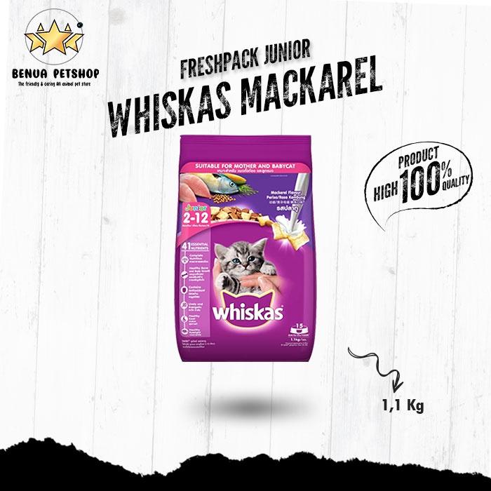 Gambar Makanan Kucing kering murah WHISKAS JUNIOR 1,1kg All Varian - JUNIOR MACKAREL dari Benua Petshop undefined Tokopedia