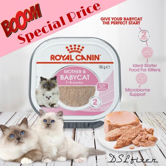 Gambar Royal Canin Mother And Babycat Ultra Soft Mousse Wet 100 gr dari DSL Fixer undefined Tokopedia