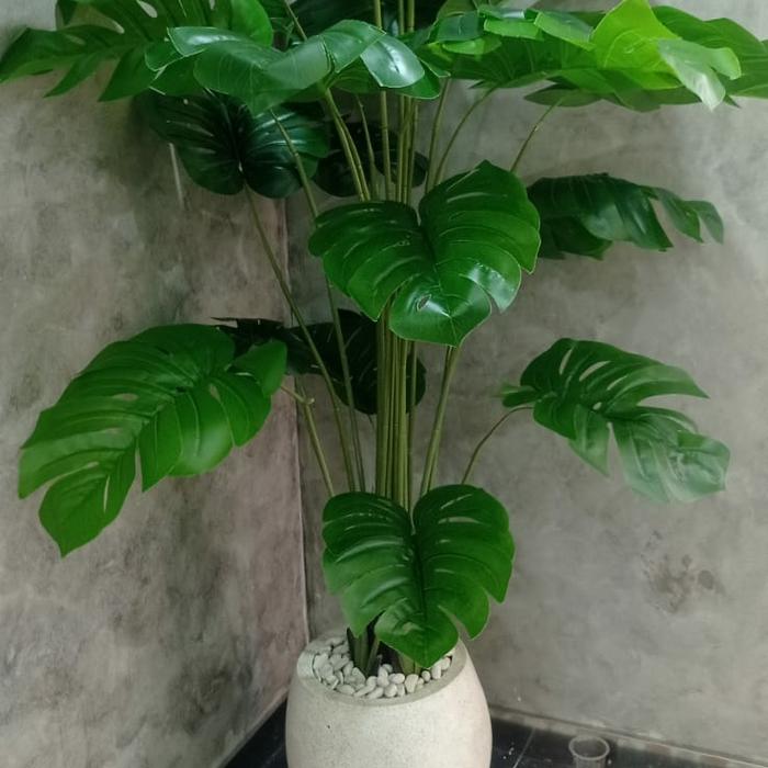 Gambar POHON MONSTERA/POHON TALES/BUNGA HIAS/BUNGA PLASTIK/ARTIFICIAL/TAMAN - kurir mobil tok dari Fatih Bunga Dekorasi undefined Tokopedia