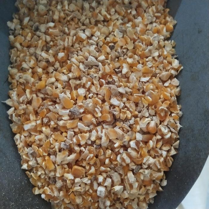 Gambar Jagung utuh| Jagung giling| Campuran Pakan Ternak - Jg Pecah No.1 dari TorRooster Poultry Shop undefined 3 Tokopedia