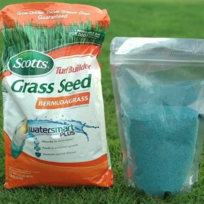 Gambar Benih Rumput Jepang ( Bermuda Grass) dari HMP Environmental Servic undefined Tokopedia