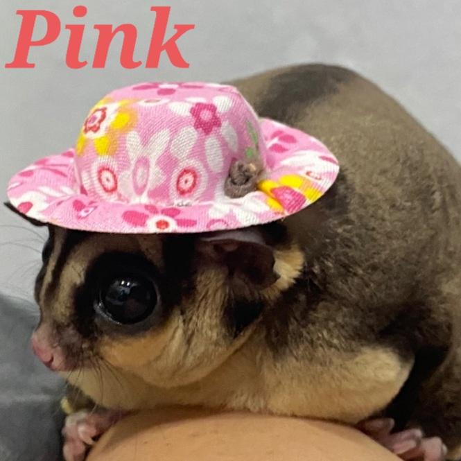 Gambar Aksesoris Topi Sugar Glider Hamster Tupai Burung Landak marmud Tikus - Merah Muda dari charlotte bowtique undefined Tokopedia