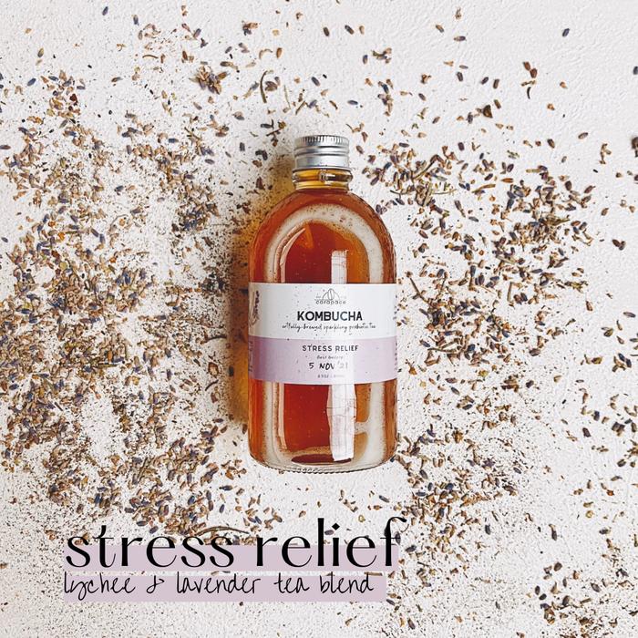 Gambar 1 Litre Kombucha - Carapace Healthy Probiotic Drink - Stress Relief dari Carapace Kombucha &amp; Cascara undefined Tokopedia