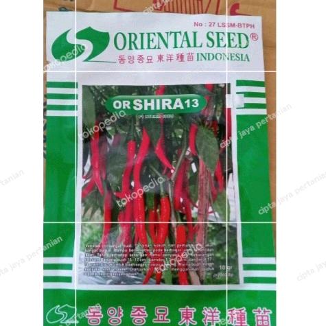 Gambar Bibit Cabai super Unggul OR Shira 13 Oriental Seed 10gr dari cipta jaya pertanian undefined Tokopedia