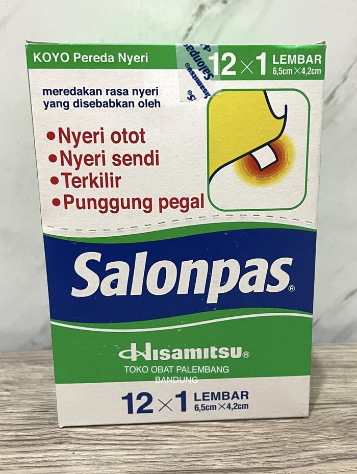 Gambar 1 BOX KOYO SALONPAS HISAMITSU PATCH HANGAT PANAS HOT 5X2 12X1 MERAH - 5X2 BIRU dari Toko Obat Palembang Bandung undefined 4 Tokopedia