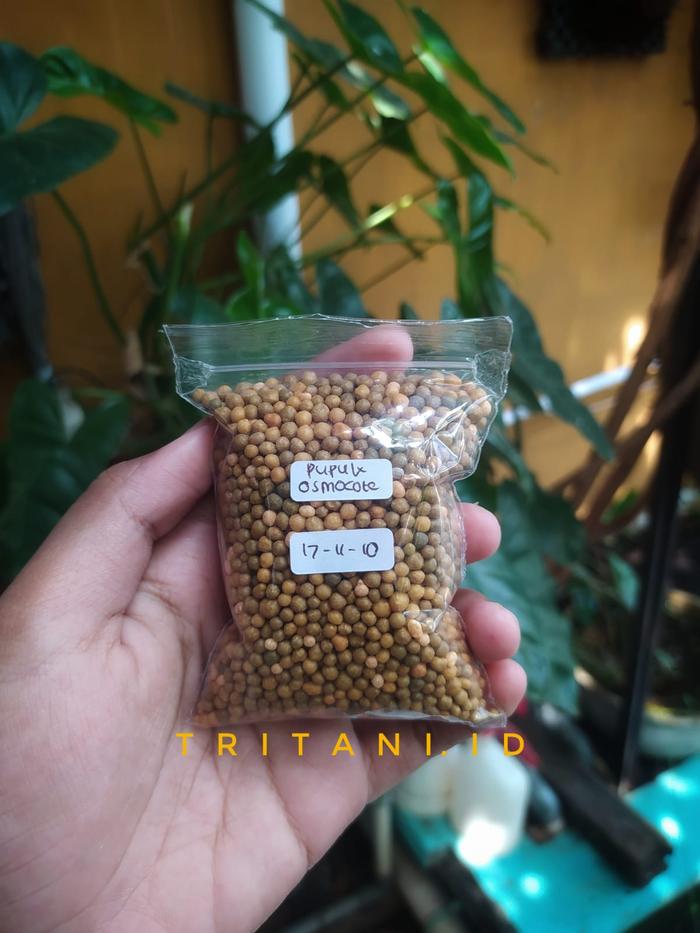 Gambar PUPUK BONSAI Dekastar Plus atau osmocote 100 GRAM dari Tritani Agri undefined Tokopedia