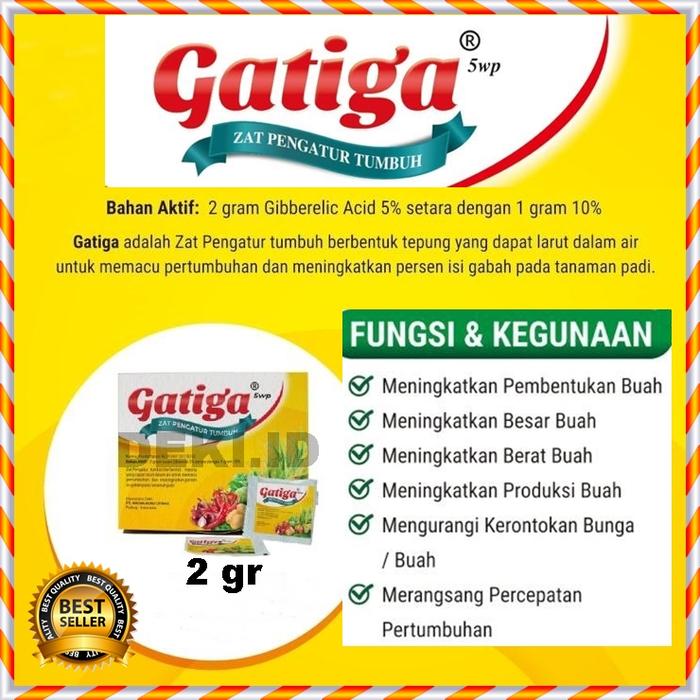 Apa Itu Hormon Ga3 Apa Itu Hormon Ga3