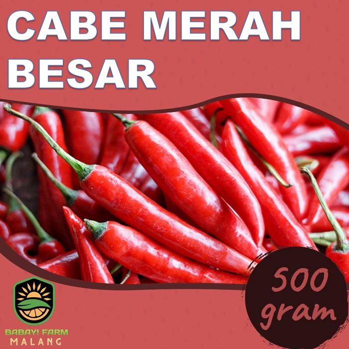Gambar Cabe Merah / Cabai Merah Besar 250 gram - 500 gram dari Babay Farm Malang undefined Tokopedia