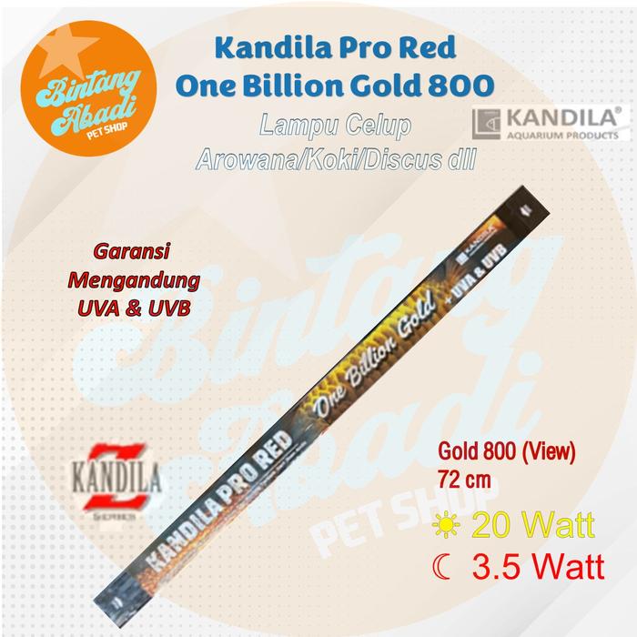 Gambar Kandila Pro Red One Billion Gold 800 72cm Lampu Celup Ikan Arowana dari Bintang Abadi Pet Shop undefined Tokopedia