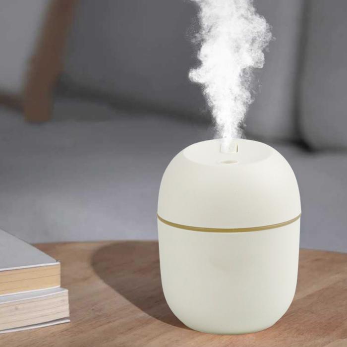 Gambar Air Humidifier Aromatherapy Oil Diffuser LED Light Pelembab Udara - Putih dari RIZA OLSHOP19 undefined Tokopedia