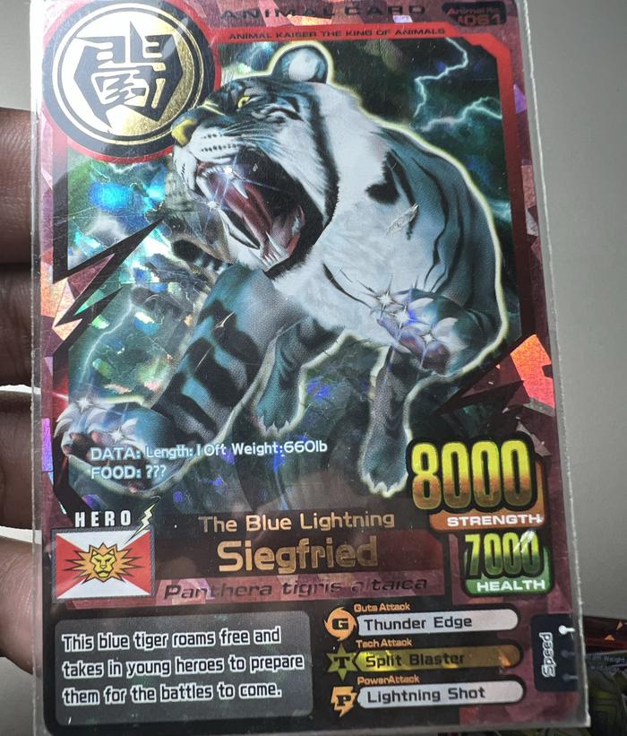 where can i get my card graded near me Hit Kings