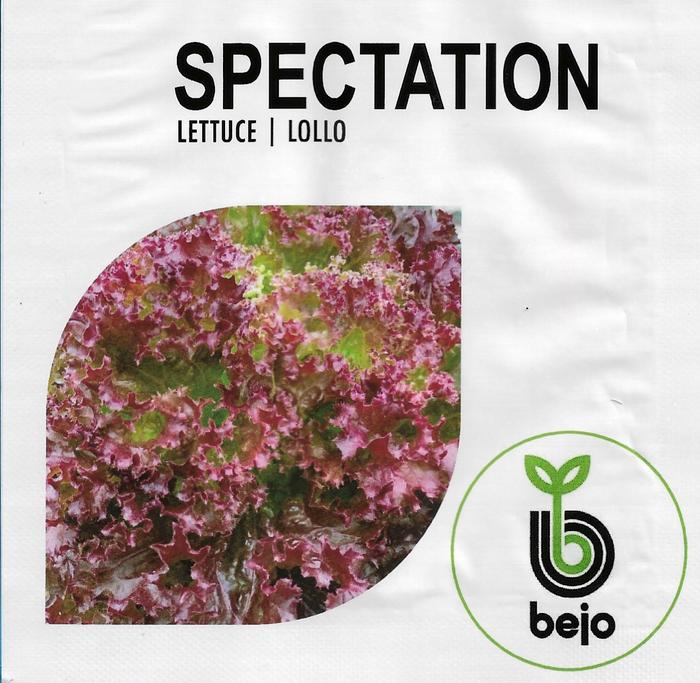 Jual Benih Bejo Seed - Selada Lollo Rossa Spectation Repack 100 pills ...