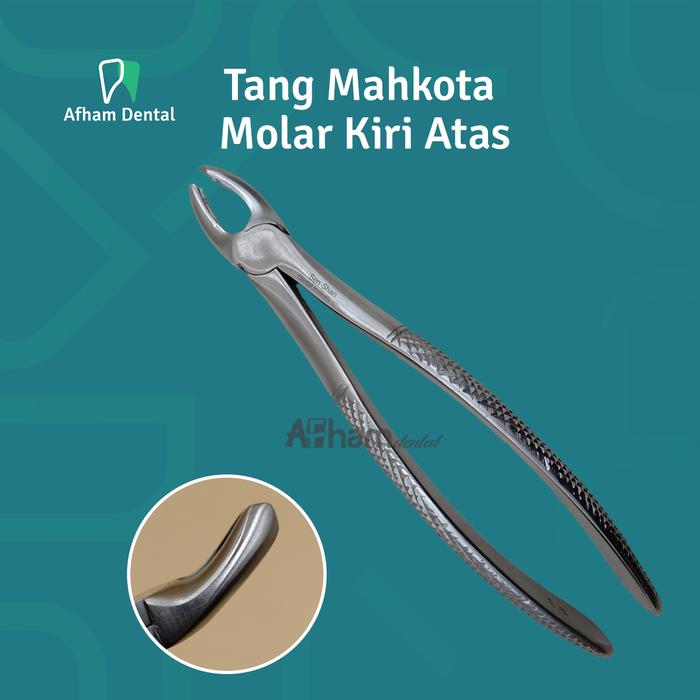 Gambar DENTAL TANG CABUT GIGI DEWASA SATUAN EXTRACTING TOOTH FORCEP STAILESS - FIG 18 dari Afham Dental undefined Tokopedia