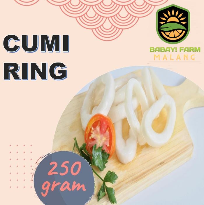 Gambar Cumi Ring 250 500 gram / 1 kg - 250 gram dari Babay Farm Malang undefined Tokopedia