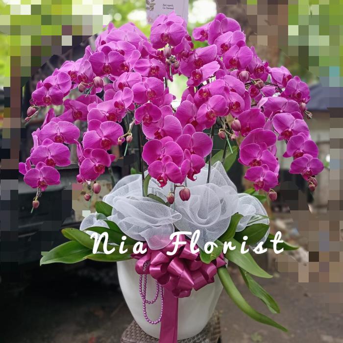 Gambar Bunga Rangkaian Anggrek Bulan Asli / Bunga Meja / Hadiah Ulang Tahun dari NiaFlorist_NEW undefined Tokopedia