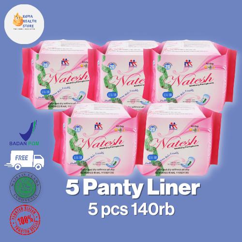 Gambar PAKET Hemat Isi 5/6 pcs Pembalut Natesh Sanitary Pads Mix All Varian - 5 Panty dari kumahealthstore undefined Tokopedia