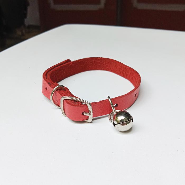 Gambar KALUNG KUCING KULIT ASLI CUSTOM BONUS GRAFIR NAMA LONCENG LIONTIN - pink, lingkaran dari Devigna undefined Tokopedia