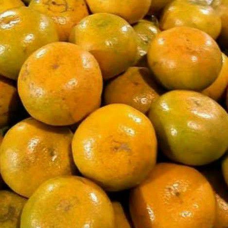 Gambar jeruk medan super murah 1kg dari cihuni bandung undefined Tokopedia
