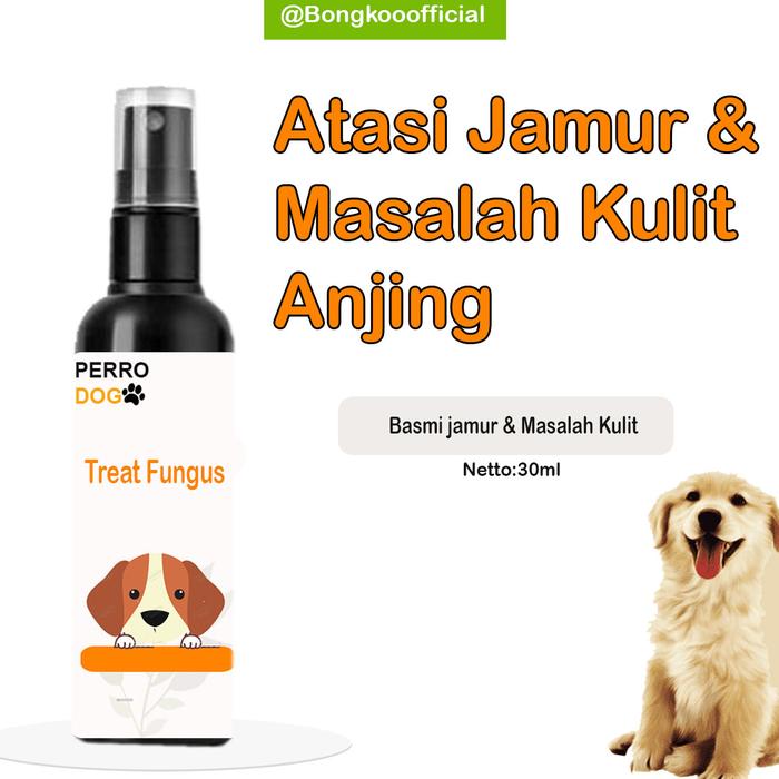 Gambar Obat Jamur Anjing Spray Jamur Anjing Obat Jamur Anjing Perrodog (30ml) - 30ml dari Bongkoo Shop undefined Tokopedia