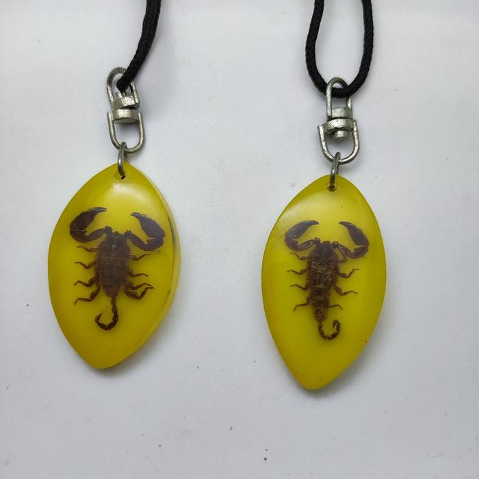 Gambar kalung pria kalajengking scorpio asli - Kuning dari originalee05 undefined Tokopedia