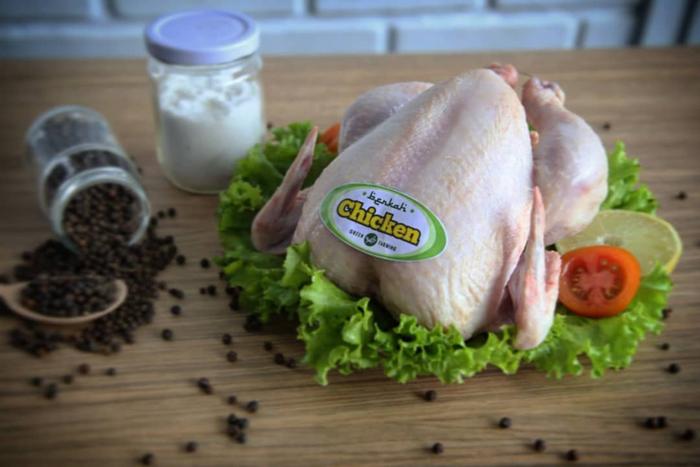 Gambar Ayam Organik Probiotik Berkah Chicken 800-900 Gram - Ayam Utuh dari Berkah Chicken Cinere undefined Tokopedia