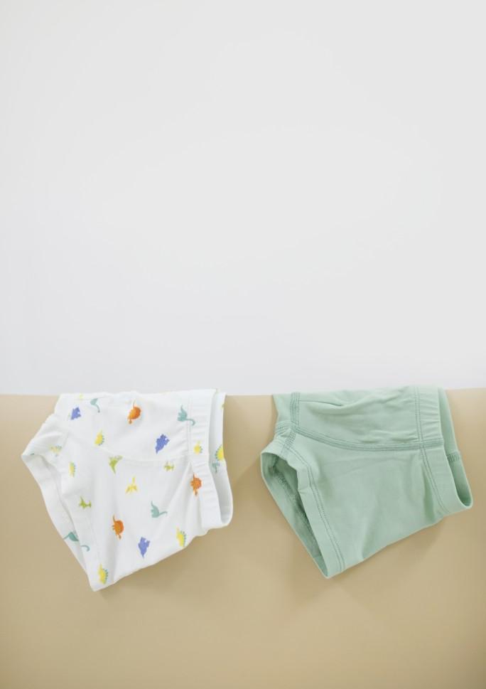 Gambar Murah Boxer Anak TENCEL, Boxer Boy Dino + Sage Green NON COD - Dino + Sage, 3-4y dari meccaa mall undefined Tokopedia