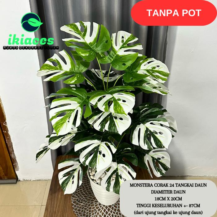 Gambar DAUN MONSTERA JUMBO VARIEGATA ARTIFICIAL 1 METER DAUN PLASTIK DEKORASI - TANPA POT dari ikiaces undefined Tokopedia