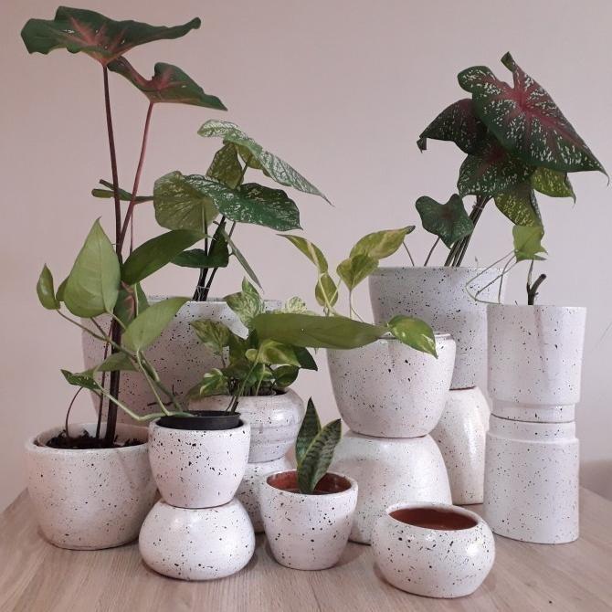 Gambar ! POT TANAMAN HARI GERABAH TANAH LIAT D28CM PUTIH MARBEL / PUTIH - D28 dari ALATAMAN undefined Tokopedia