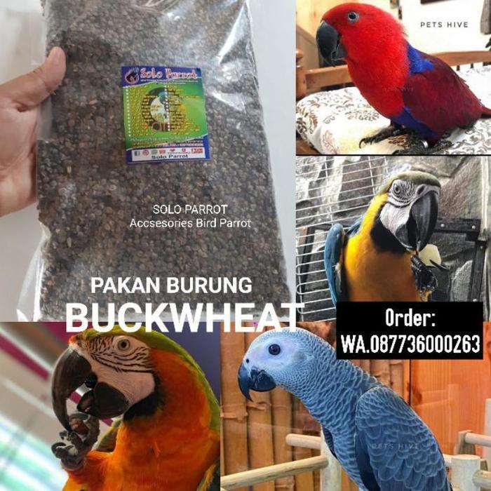 Gambar Biji Buckwheat Untuk Pakan Burung - BIJI Buckwheat, 200 gram dari TOKO TRESNOWARANGGONO undefined Tokopedia